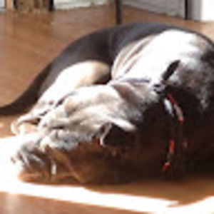 Meet your Posher, Katie